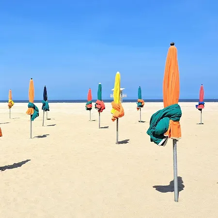 Awesome In Blonville-sur-Mer